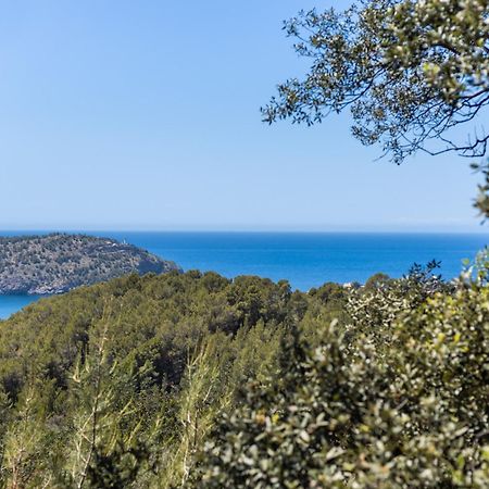 Villa Rustica S'Oliveret Sóller Zewnętrze zdjęcie